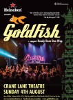 Goldfish-New-Facebook Goldfish-New-Facebook