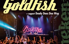 Goldfish-New-Facebook