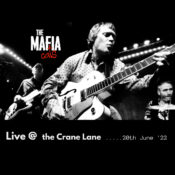 The Mafia Cats